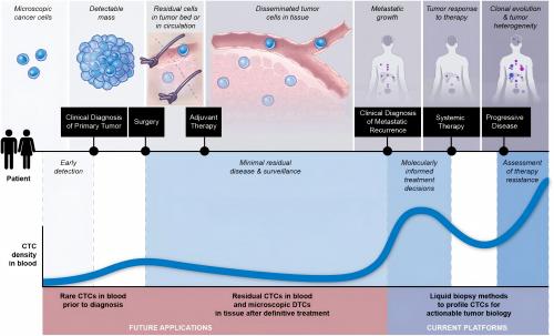 《Cancer Cell》重磅综述解读CTC十年突破，你的观念刷新了吗？