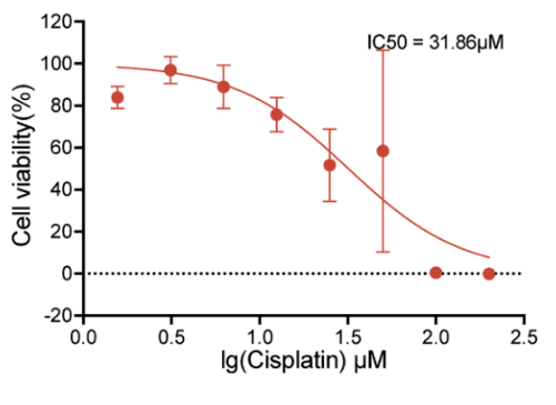 What You Should Know About Drug Susceptibility