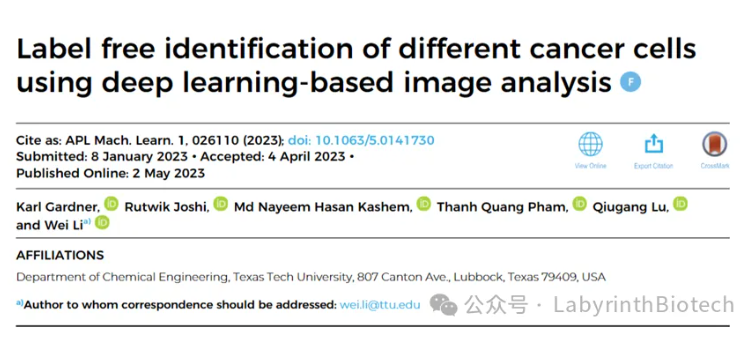 Label-Free Recognition: Machine Learning Revolutionizes Cancer Cell Detection
