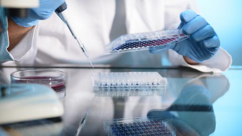 CTC Pharmacodynamic Evaluation Service