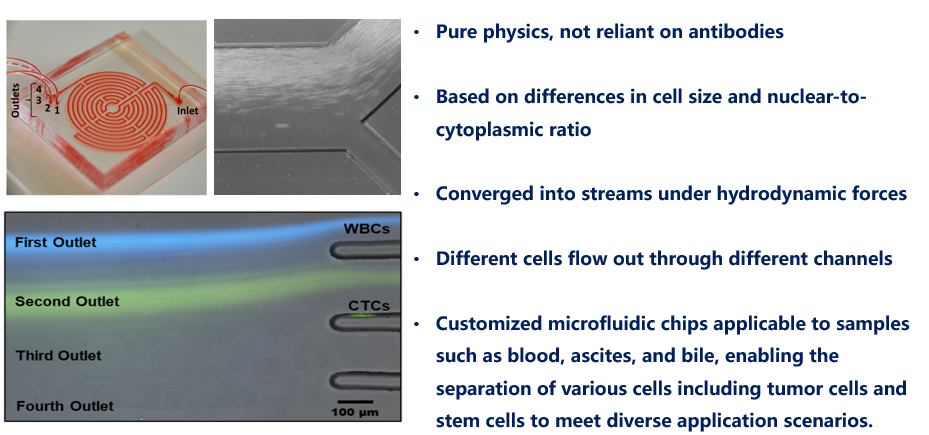 Labyrinth design.png