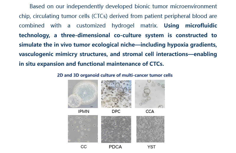 bionice mircoenvironment.png