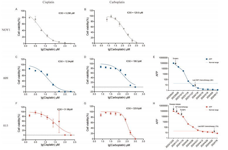 CTC 药效评估.png