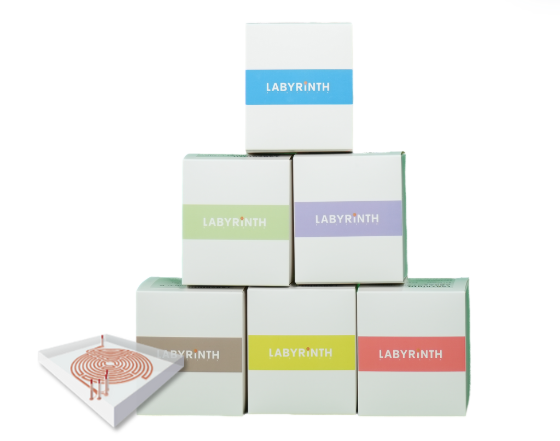 Disposable Cells Collector and Storage & Labyrinth Chip.png